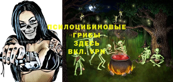 прущие крисы Горно-Алтайск