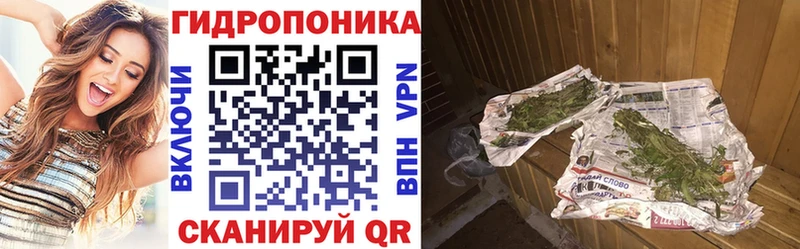 наркотики  Подпорожье  mega   Конопля MAZAR 